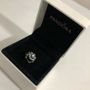 Pandora bracelet Charm